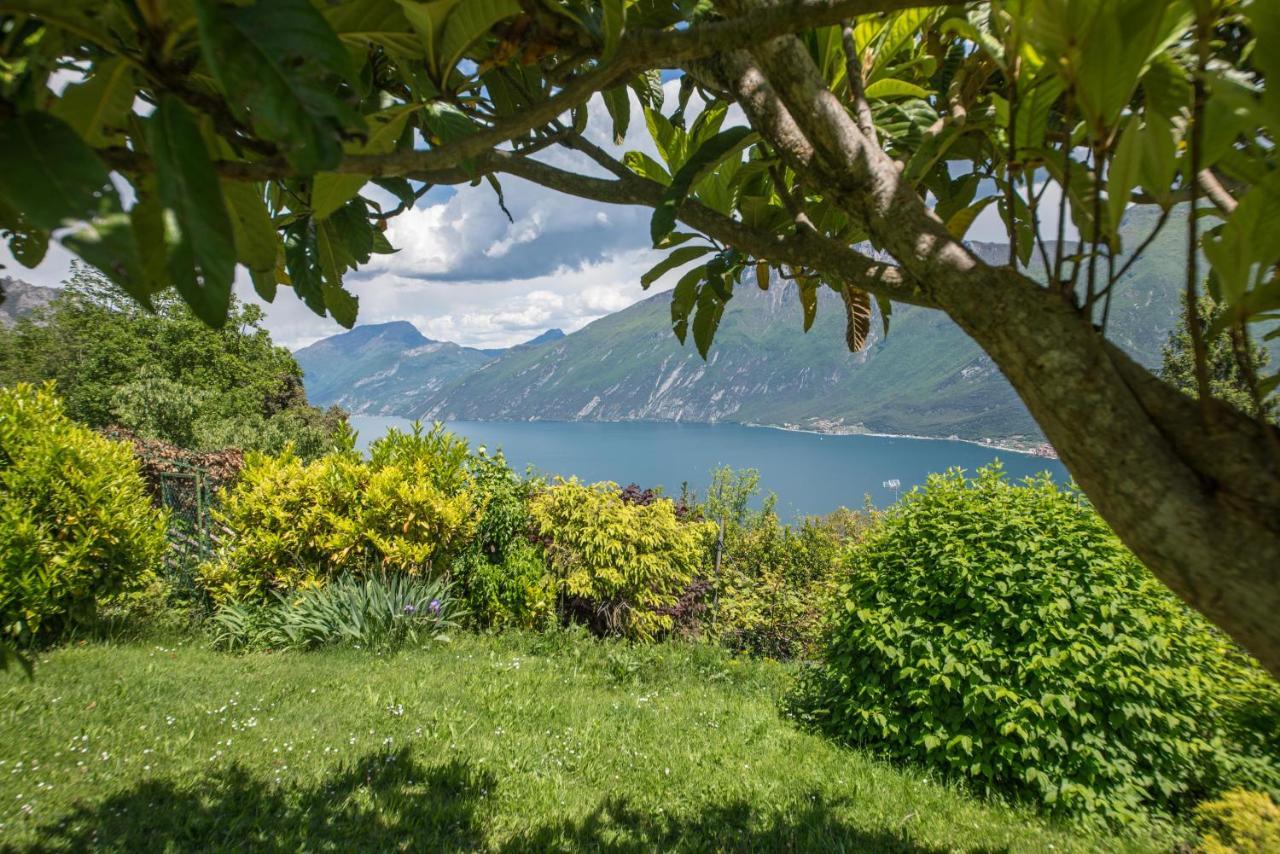 Paradise Garden & View Tremosine Exteriér fotografie
